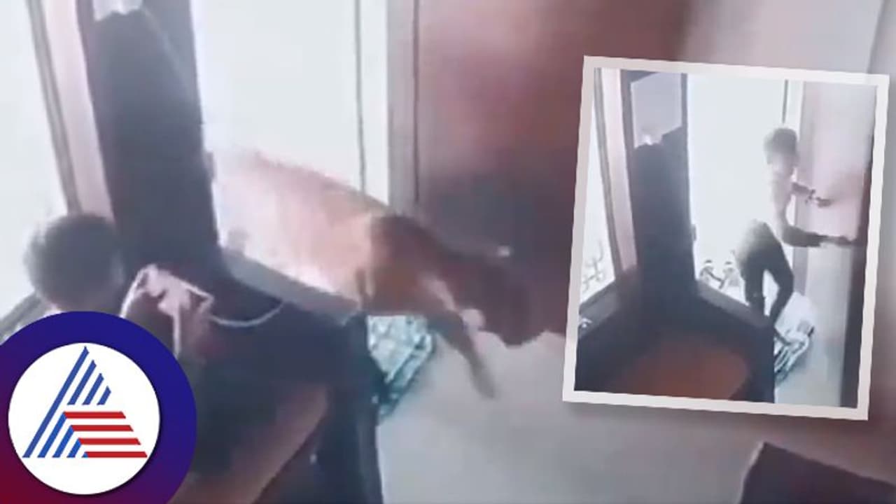 Viral Video: ಚಿರತೆ ಪ್ರವೇಶಿಸಿದಾಗ ಮೊಬೈಲ್ ನೋಡ್ತಾ ಇದ್ದ ಬಾಲಕ ಏನ್ಮಾಡ್ದ? ವೀಡಿಯೋ ನೋಡಿದ್ರೆ ಮೈ ಜುಮ್ ಅನ್ನುತ್ತೆ