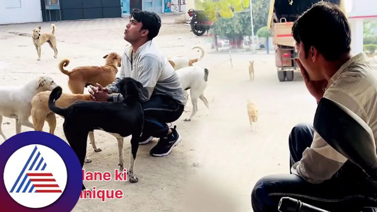 Viral Video: ನಾಯಿಯಂತೆಯೇ ದನಿ ಹೊರಡಿಸಿದ್ರೆ ನಾಯಿ ಬಳಗವೆಲ್ಲ ಹಾಜರ್ ಹಾಕಿ ಬಿಡೋದಾ? Viral Video: ನಾಯಿಯಂತೆಯೇ ದನಿ ಹೊರಡಿಸಿದ್ರೆ ನಾಯಿ ಬಳಗವೆಲ್ಲ ಹಾಜರ್ ಹಾಕಿ ಬಿಡೋದಾ?