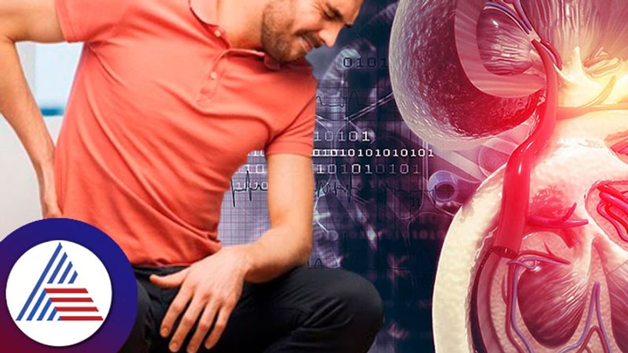 Kidney Health Safety Tips: ಒಂದೇ ಒಂದು ಕಿಡ್ನಿ ಇರೋರು ಎಷ್ಟು ಸುರಕ್ಷಿತ? 