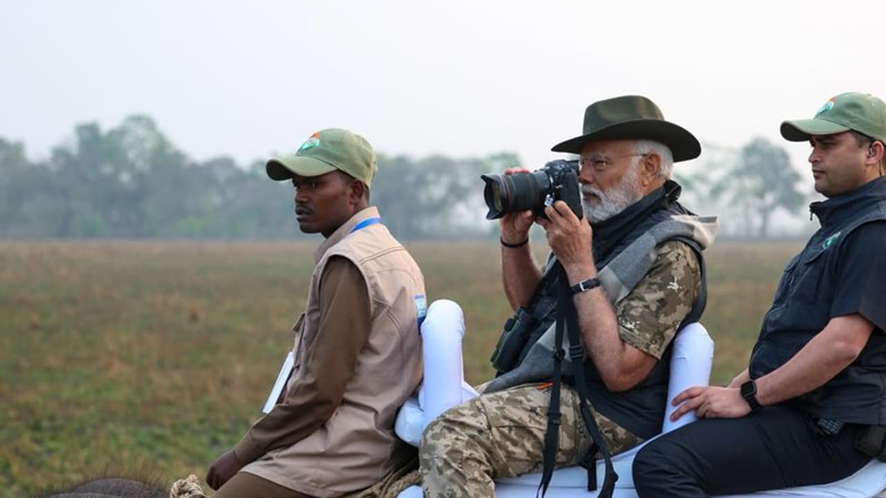 అసోంలో మోడీ టూర్: కజిరంగ నేషనల్ పార్క్లో ఏనుగు సవారీ చేసిన ప్రధాని (వీడియో) అసోంలో మోడీ టూర్: కజిరంగ నేషనల్ పార్క్లో ఏనుగు సవారీ చేసిన ప్రధాని (వీడియో)