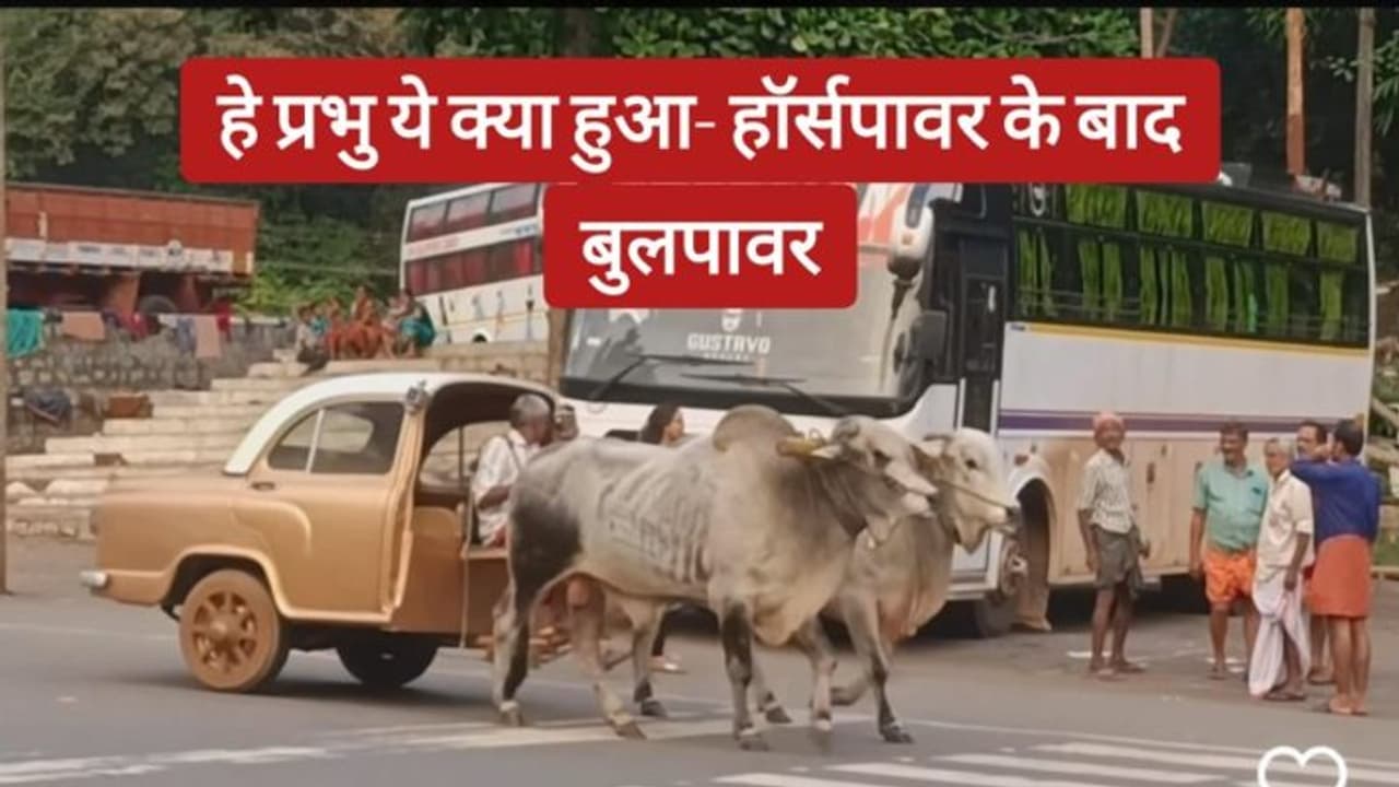 मज़ेदार वायरल वीडियो- लोग बोले "एंबेसडर" है या "बुलबेसडर"