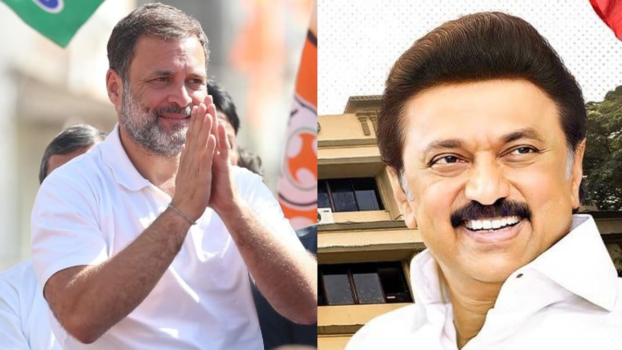 ಲೋಕಸಭೆ ಚುನಾವಣೆಯಲ್ಲಿ ತಮಿಳುನಾಡಿನ ಹೆಚ್ಚಿನ ಅಭ್ಯರ್ಥಿಗಳು ರೈತರು, ಉದ್ಯಮಿ, ವಕೀಲರು! ಲೋಕಸಭೆ ಚುನಾವಣೆಯಲ್ಲಿ ತಮಿಳುನಾಡಿನ ಹೆಚ್ಚಿನ ಅಭ್ಯರ್ಥಿಗಳು ರೈತರು, ಉದ್ಯಮಿ, ವಕೀಲರು!