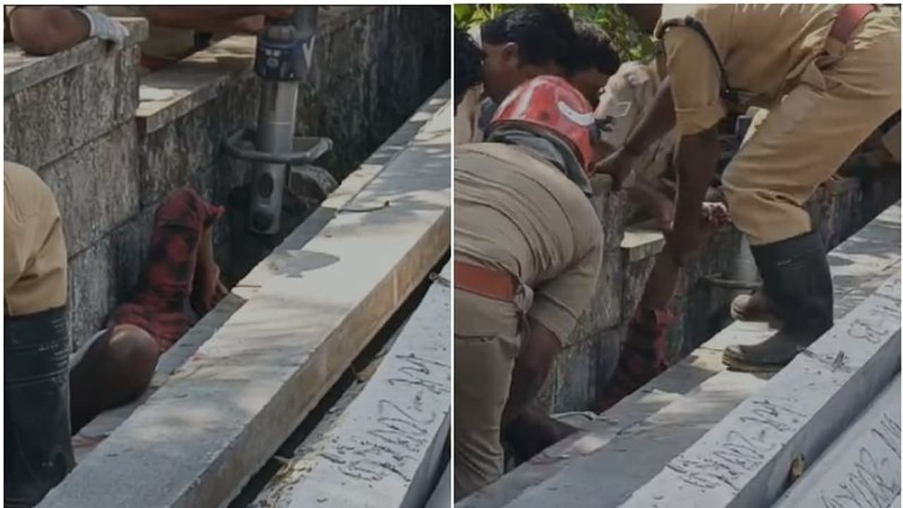 റോഡരികില് കൂട്ടിയിട്ടിരുന്ന കോൺക്രീറ്റ് പോസ്റ്റുകൾക്ക് മുകളിൽ കിടന്നയാൾ പോസ്റ്റുകൾക്കടിയിൽ കുരുങ്ങി റോഡരികില് കൂട്ടിയിട്ടിരുന്ന കോൺക്രീറ്റ് പോസ്റ്റുകൾക്ക് മുകളിൽ കിടന്നയാൾ പോസ്റ്റുകൾക്കടിയിൽ കുരുങ്ങി