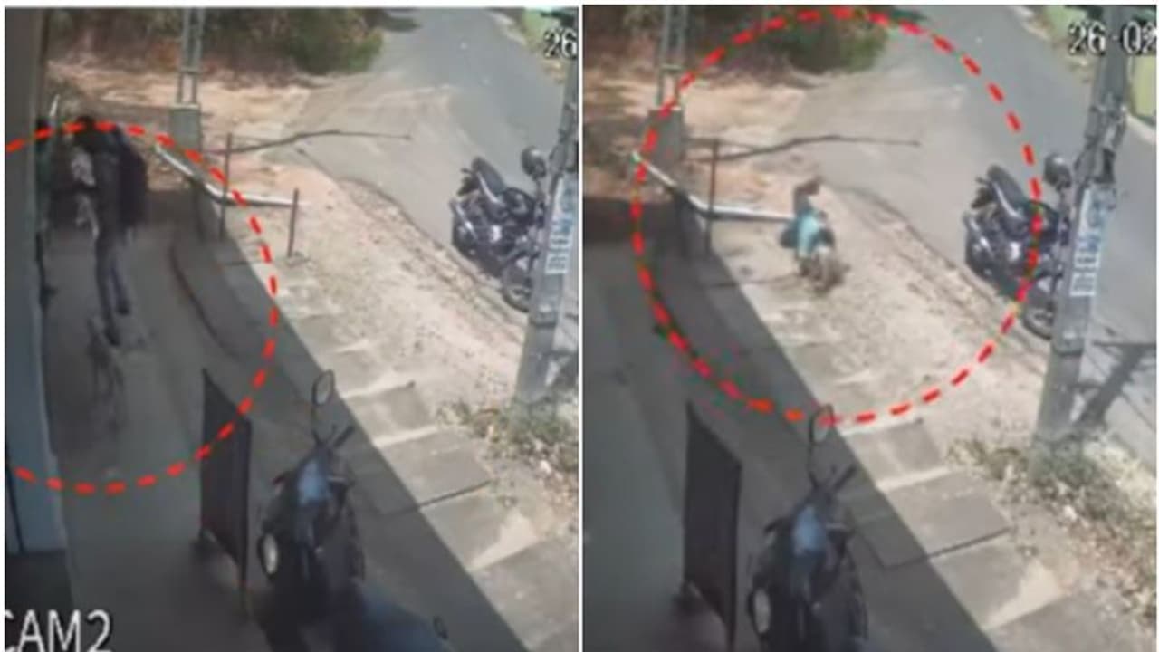 റേഷൻ കടയില്‍ കയറി റേഷൻ കടക്കാരനെ ആക്രമിച്ച് തെരുവുനായ; വീഡിയോ