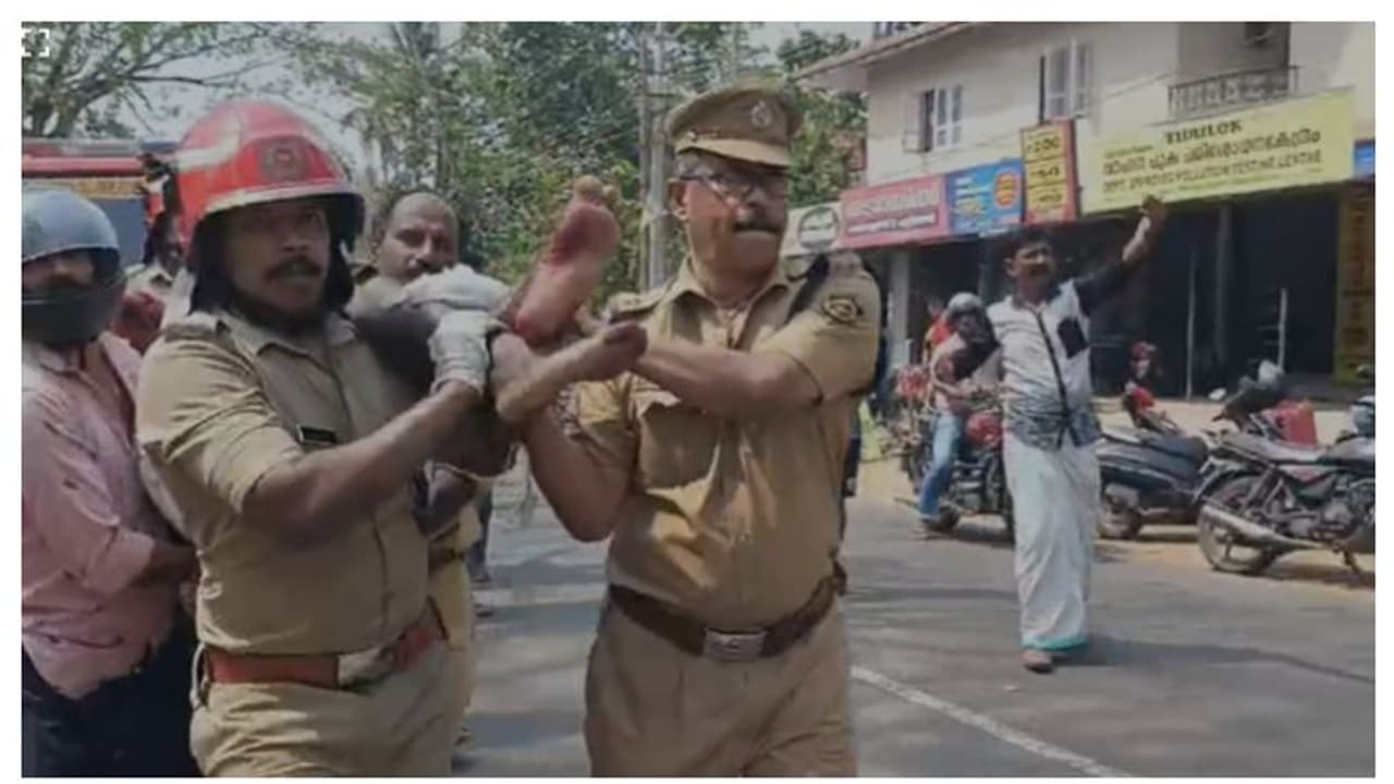 റോഡരികിൽ കൂട്ടിയിട്ട വൈദ്യുതി പോസ്റ്റുകൾക്ക് മുകളിൽ കിടന്നു, ഞെരിഞ്ഞമർന്നു, യുവാവിന് രക്ഷയായി ഫയർഫോഴ്സ് റോഡരികിൽ കൂട്ടിയിട്ട വൈദ്യുതി പോസ്റ്റുകൾക്ക് മുകളിൽ കിടന്നു, ഞെരിഞ്ഞമർന്നു, യുവാവിന് രക്ഷയായി ഫയർഫോഴ്സ്