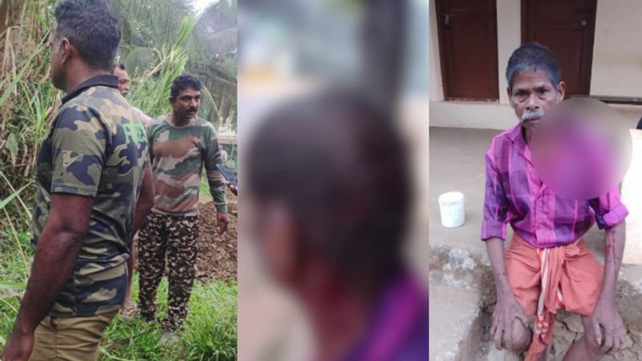 വയനാട്ടില്‍ വീണ്ടും വന്യജീവി ആക്രമണം; തലയ്ക്ക് പരിക്കേറ്റ യുവാവ് ആശുപത്രിയിൽ, നിര്‍ണായക യോഗം ഇന്ന്