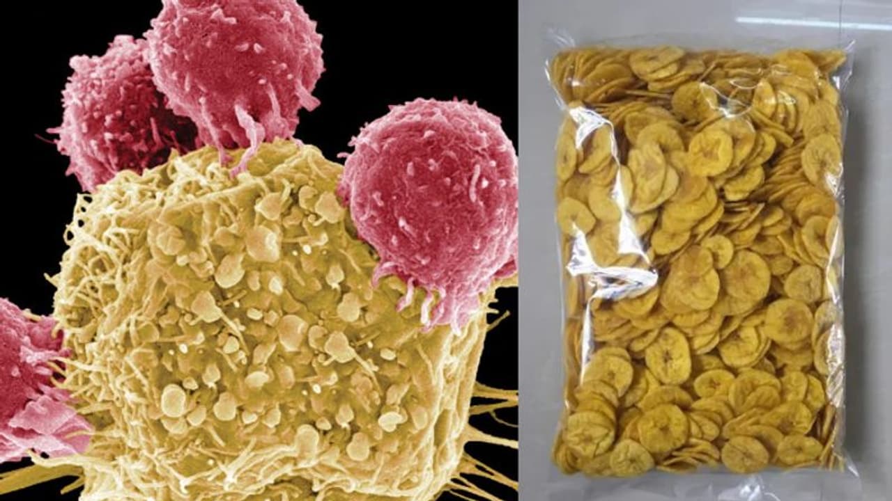 പാക്കറ്റില് കിട്ടുന്ന ഈ അഞ്ച് ഭക്ഷണങ്ങൾ ക്യാൻസറിന് കാരണമായേക്കാം... പാക്കറ്റില് കിട്ടുന്ന ഈ അഞ്ച് ഭക്ഷണങ്ങൾ ക്യാൻസറിന് കാരണമായേക്കാം...