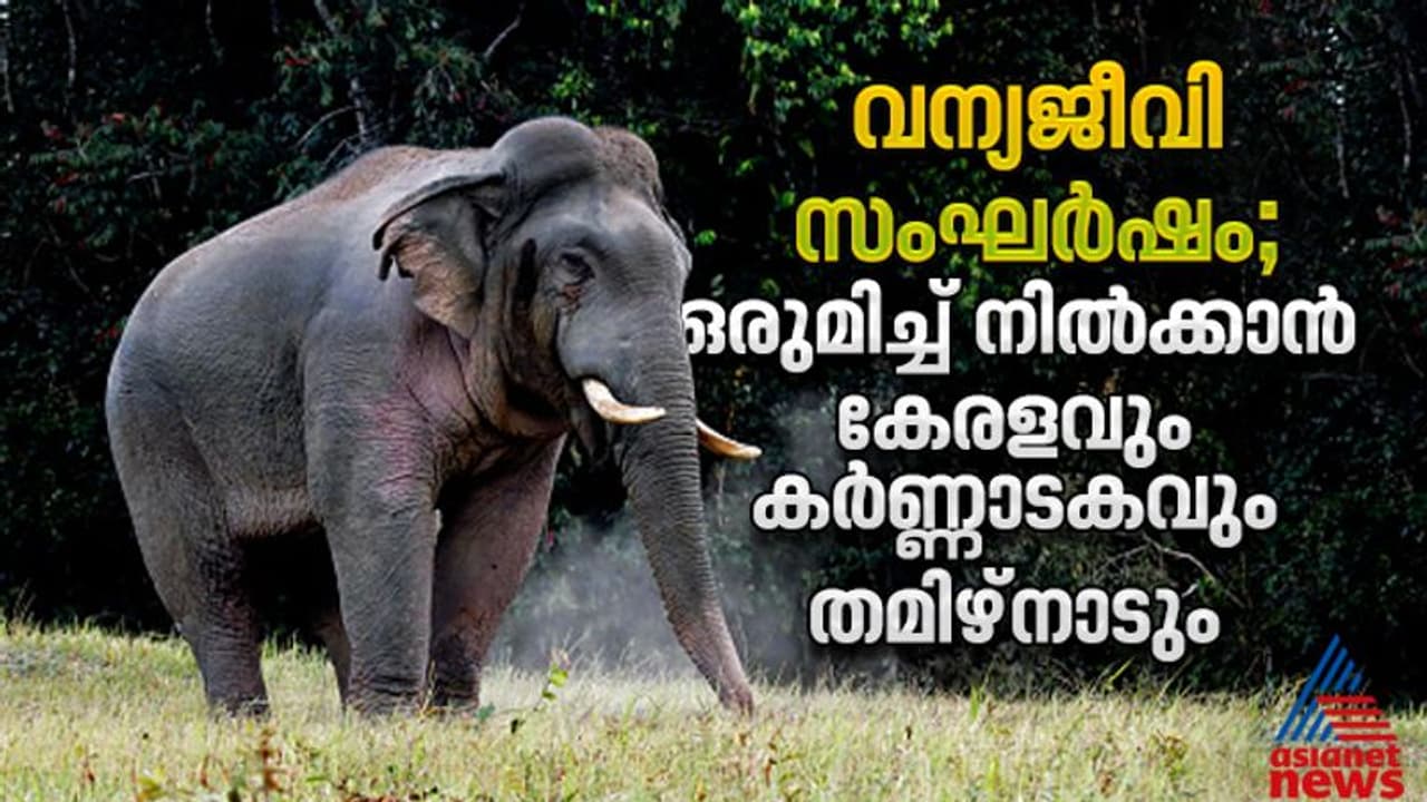 വന്യജീവി സംഘര്ഷം; കേന്ദ്രനയത്തിനെതിരെ കൈകോര്ത്ത് കേരളം, കര്ണ്ണാടകം, തമിഴ്നാട് വന്യജീവി സംഘര്ഷം; കേന്ദ്രനയത്തിനെതിരെ കൈകോര്ത്ത് കേരളം, കര്ണ്ണാടകം, തമിഴ്നാട്