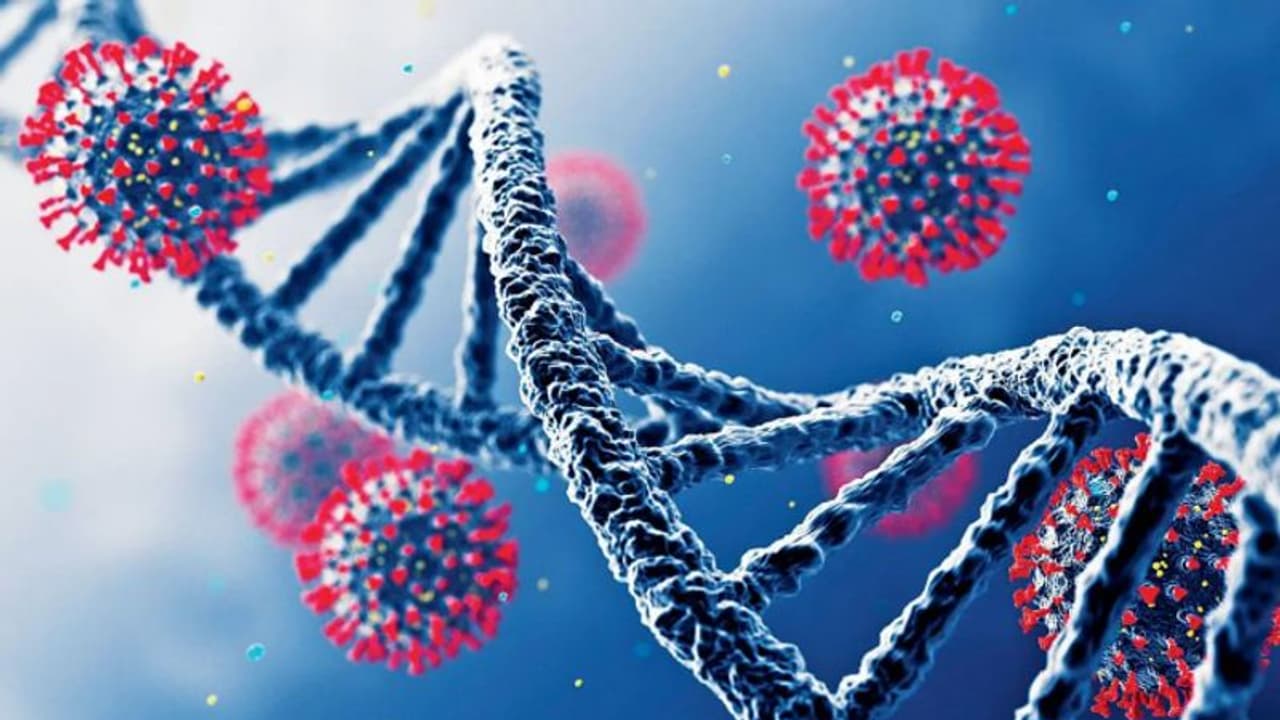 പനി, വരണ്ട ചുമ, തലവേദന, പേശിവേദന; മുന്നറിയിപ്പ് നല്കി ലോകാരോഗ്യ സംഘടന, ജാഗ്രതയില് യൂറോപ്പ് പനി, വരണ്ട ചുമ, തലവേദന, പേശിവേദന; മുന്നറിയിപ്പ് നല്കി ലോകാരോഗ്യ സംഘടന, ജാഗ്രതയില് യൂറോപ്പ്