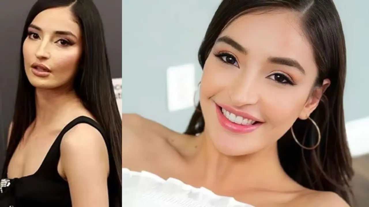 ನೀಲಿ ಲೋಕದಲ್ಲಿ ಸರಣಿ ದುರಂತ: ಹೃದಯಾಘಾತದ ಬಳಿಕ ಕೋಮಾಗೆ ಜಾರಿದ ನೀಲಿ ಚಿತ್ರ ತಾರೆ ಎಮಿಲಿ ವಿಲ್ಲಿಸ್‌