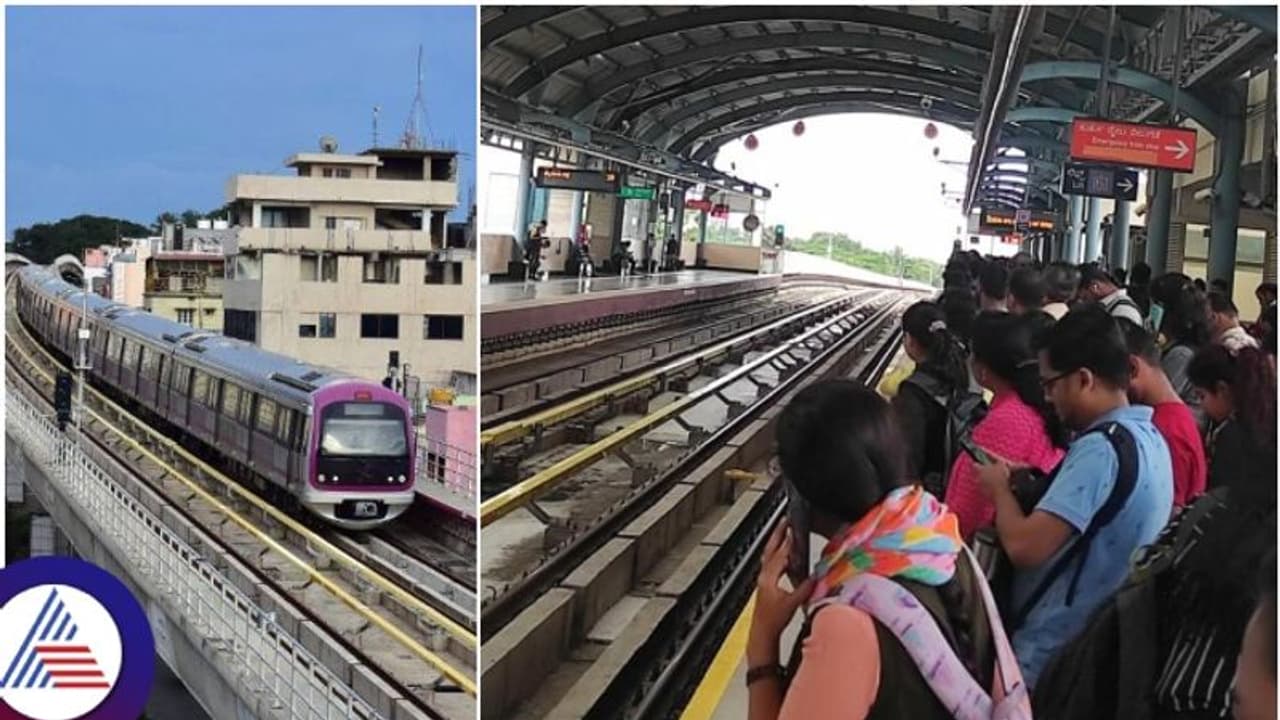 ಬೆಂಗಳೂರು ಮೆಟ್ರೋ ಹಳಿಯಲ್ಲಿ ನಡೆದುಕೊಂಡು ಹೋದ ಯುವಕ; 20 ನಿಮಿಷ ಸಂಚಾರ ಸ್ಥಗಿತಗೊಳಿಸಿದ ಬಿಎಂಆರ್‌ಸಿಎಲ್!