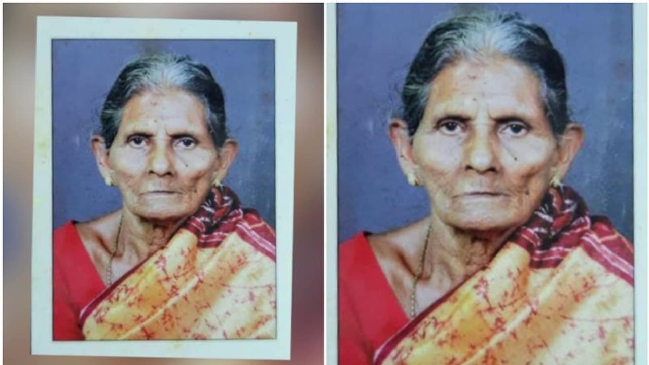 തേനീച്ച കുത്തേറ്റ് വയോധികയ്ക്ക് ദാരുണാന്ത്യം; മരണം സംഭവിച്ചത് ചികിത്സയിലിരിക്കെ തേനീച്ച കുത്തേറ്റ് വയോധികയ്ക്ക് ദാരുണാന്ത്യം; മരണം സംഭവിച്ചത് ചികിത്സയിലിരിക്കെ