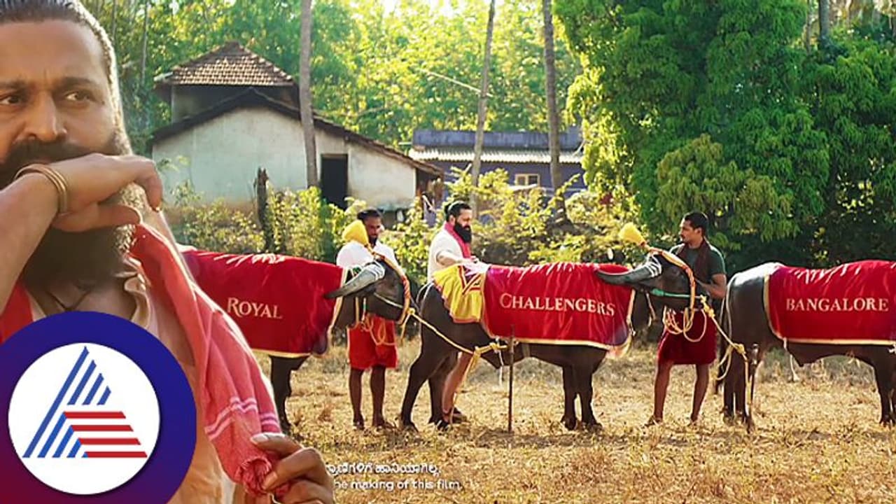 IPL ಟೂರ್ನಿಗೆ ಕಿಚ್ಚು ಹಚ್ಚಿದ ರಿಷಭ್ ಶೆಟ್ಟಿ..! ಕಾಂತಾರ ಹೀರೋ RCB ಬಗ್ಗೆ ಏನ್ ಹೇಳ್ತಿದ್ದಾರೆ ಅರ್ಥ ಆಯ್ತಾ..? IPL ಟೂರ್ನಿಗೆ ಕಿಚ್ಚು ಹಚ್ಚಿದ ರಿಷಭ್ ಶೆಟ್ಟಿ..! ಕಾಂತಾರ ಹೀರೋ RCB ಬಗ್ಗೆ ಏನ್ ಹೇಳ್ತಿದ್ದಾರೆ ಅರ್ಥ ಆಯ್ತಾ..?