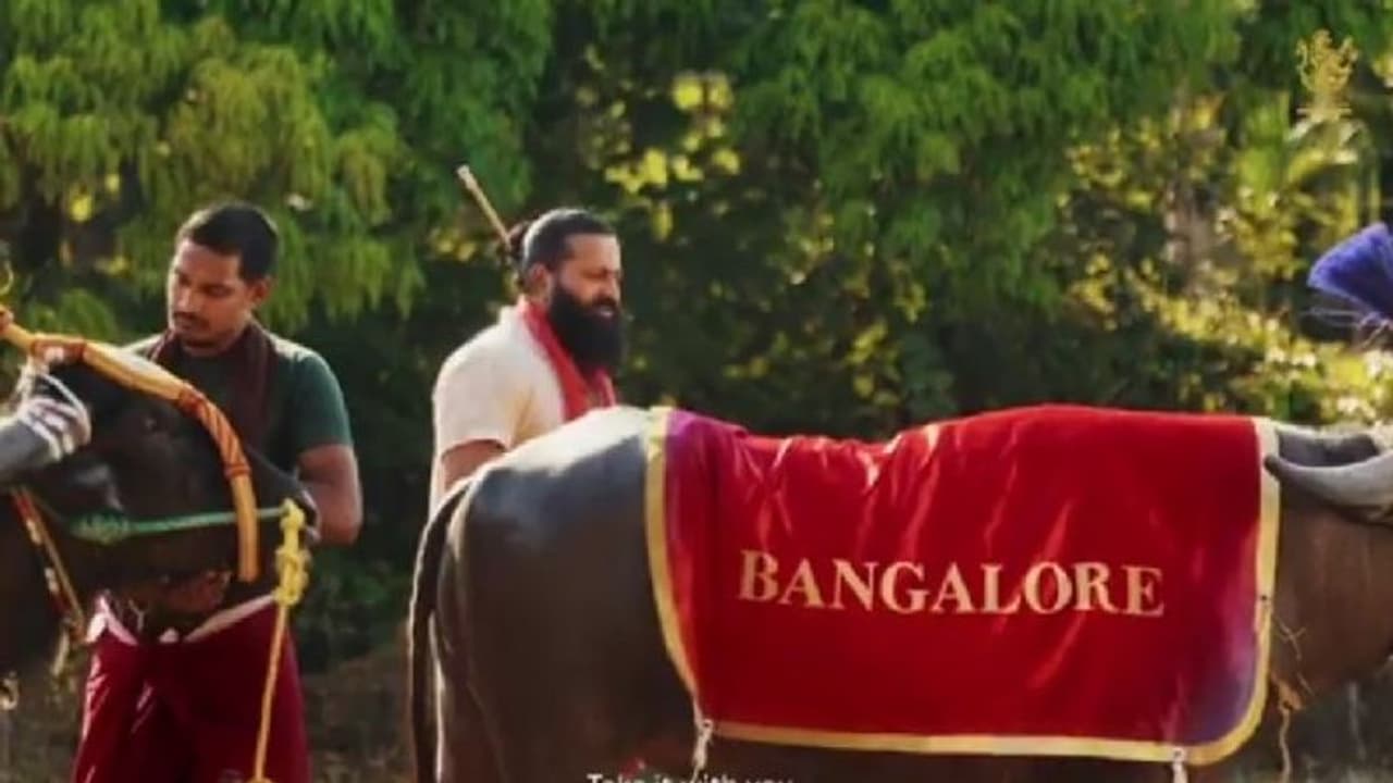 'ಈಗ ಅಂಟಿರೋ ಪೀಡೆ ಬಿಡ್ತದೆ.. ಹಾಗಾಗಿ ಈ ಸಲ ಅಂತೂ ಕಪ್ ನಮ್ದೇ..': RCB Unbox ಟ್ರೇಲರ್ಗೆ ಸಿಂಪಲ್ ಸುನಿ ಸೇರಿ ನೆಟ್ಟಿಗರು ಫುಲ್ 'ಈಗ ಅಂಟಿರೋ ಪೀಡೆ ಬಿಡ್ತದೆ.. ಹಾಗಾಗಿ ಈ ಸಲ ಅಂತೂ ಕಪ್ ನಮ್ದೇ..': RCB Unbox ಟ್ರೇಲರ್ಗೆ ಸಿಂಪಲ್ ಸುನಿ ಸೇರಿ ನೆಟ್ಟಿಗರು ಫುಲ್