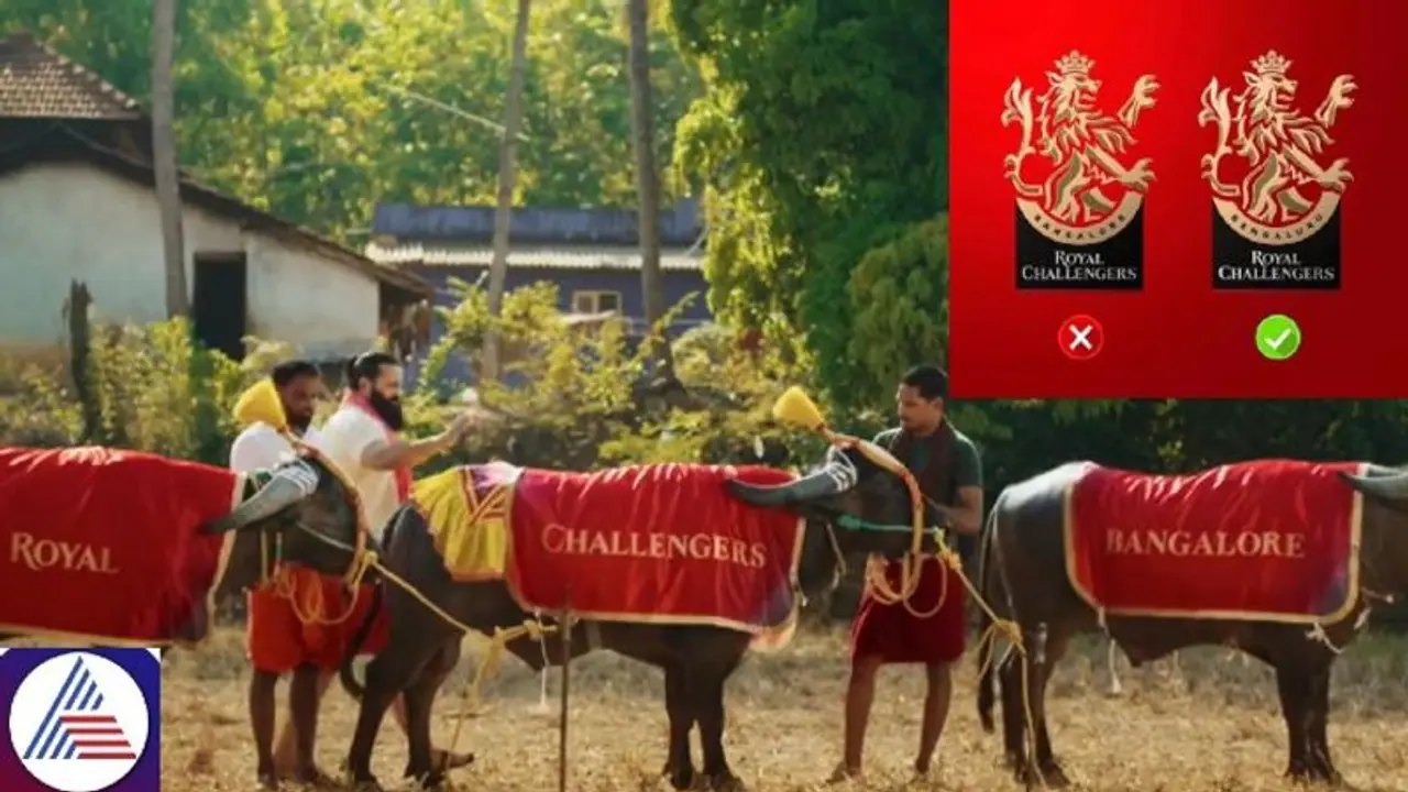 IPL 2024: Teaser featuring Rishabh Shetty hints RCB may be renamed as Royal Challengers Bengaluru (WATCH) IPL 2024: Teaser featuring Rishabh Shetty hints RCB may be renamed as Royal Challengers Bengaluru (WATCH)