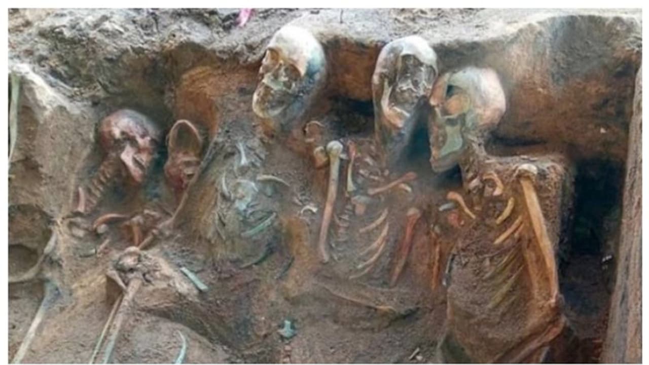 ചിലത് പച്ച നിറത്തില്‍; വീടിന്‍റെ തറയ്ക്ക് കുഴിയെടുത്തപ്പോൾ 1,500 ഓളം മനുഷ്യാസ്ഥി കൂടങ്ങൾ കണ്ടെത്തി 