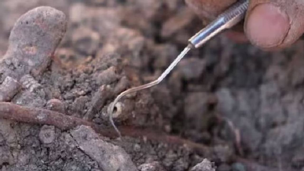 11000 വർഷം പഴക്കമുള്ള ഭൗതികാവശിഷ്ടങ്ങൾ, പ്രത്യേകതരം ആഭരണങ്ങൾ; കണ്ടെത്തൽ തുർക്കിയിൽ 11000 വർഷം പഴക്കമുള്ള ഭൗതികാവശിഷ്ടങ്ങൾ, പ്രത്യേകതരം ആഭരണങ്ങൾ; കണ്ടെത്തൽ തുർക്കിയിൽ