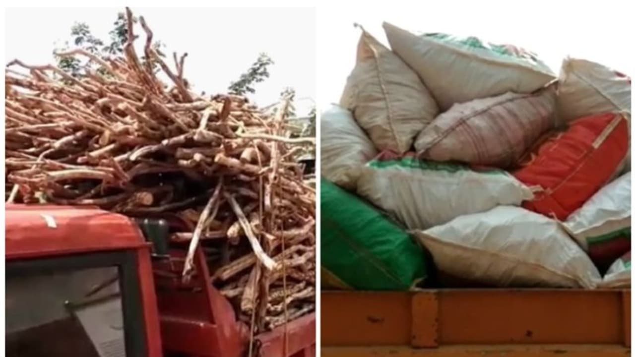 ഒറ്റനോട്ടത്തിൽ ഒരു ആക്രിക്കട; ആക്രി ശേഖരിക്കുന്നു, വിൽക്കുന്നു; അകത്തെ ഷെഡിൽ നിന്ന് പിടിച്ചത് 2000 കിലോ ചന്ദനം