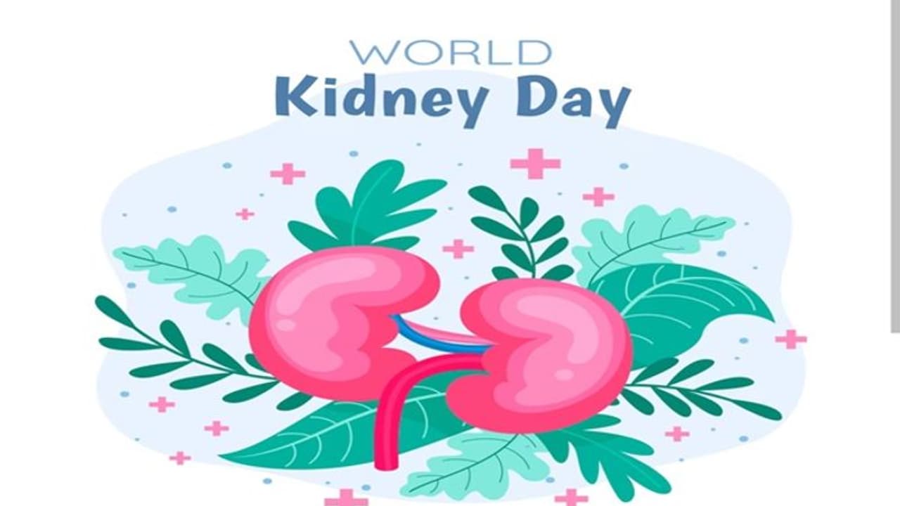 World Kidney Day 2024: What is the significance of this day?