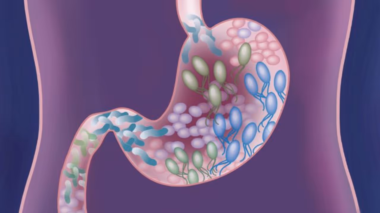 കുടലിൽ നല്ല ബാക്ടീരിയകൾ വര്ധിക്കാന് കഴിക്കേണ്ട എട്ട് ഭക്ഷണങ്ങള്... കുടലിൽ നല്ല ബാക്ടീരിയകൾ വര്ധിക്കാന് കഴിക്കേണ്ട എട്ട് ഭക്ഷണങ്ങള്...