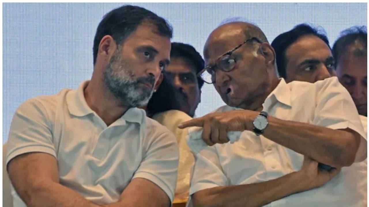 രാജ്യത്തെ സാഹചര്യം മാറി, ഹിന്ദി ഹൃദയ ഭൂമിയിലടക്കം ചലനമുണ്ടാക്കി, ഇന്ത്യ സഖ്യം സർക്കാരുണ്ടാക്കും: ശരദ് പവാർ രാജ്യത്തെ സാഹചര്യം മാറി, ഹിന്ദി ഹൃദയ ഭൂമിയിലടക്കം ചലനമുണ്ടാക്കി, ഇന്ത്യ സഖ്യം സർക്കാരുണ്ടാക്കും: ശരദ് പവാർ