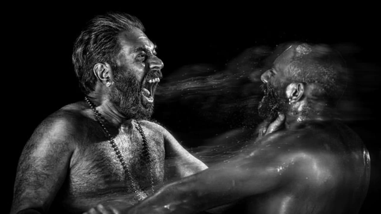 'കൊടുമണ് പോറ്റി' മാത്രമല്ല, 'ഭ്രമയുഗ'ത്തിനൊപ്പം ഒടിടിയില് മറ്റൊരു മലയാള ചിത്രവും; സ്ട്രീമിംഗ് തുടങ്ങി 'കൊടുമണ് പോറ്റി' മാത്രമല്ല, 'ഭ്രമയുഗ'ത്തിനൊപ്പം ഒടിടിയില് മറ്റൊരു മലയാള ചിത്രവും; സ്ട്രീമിംഗ് തുടങ്ങി