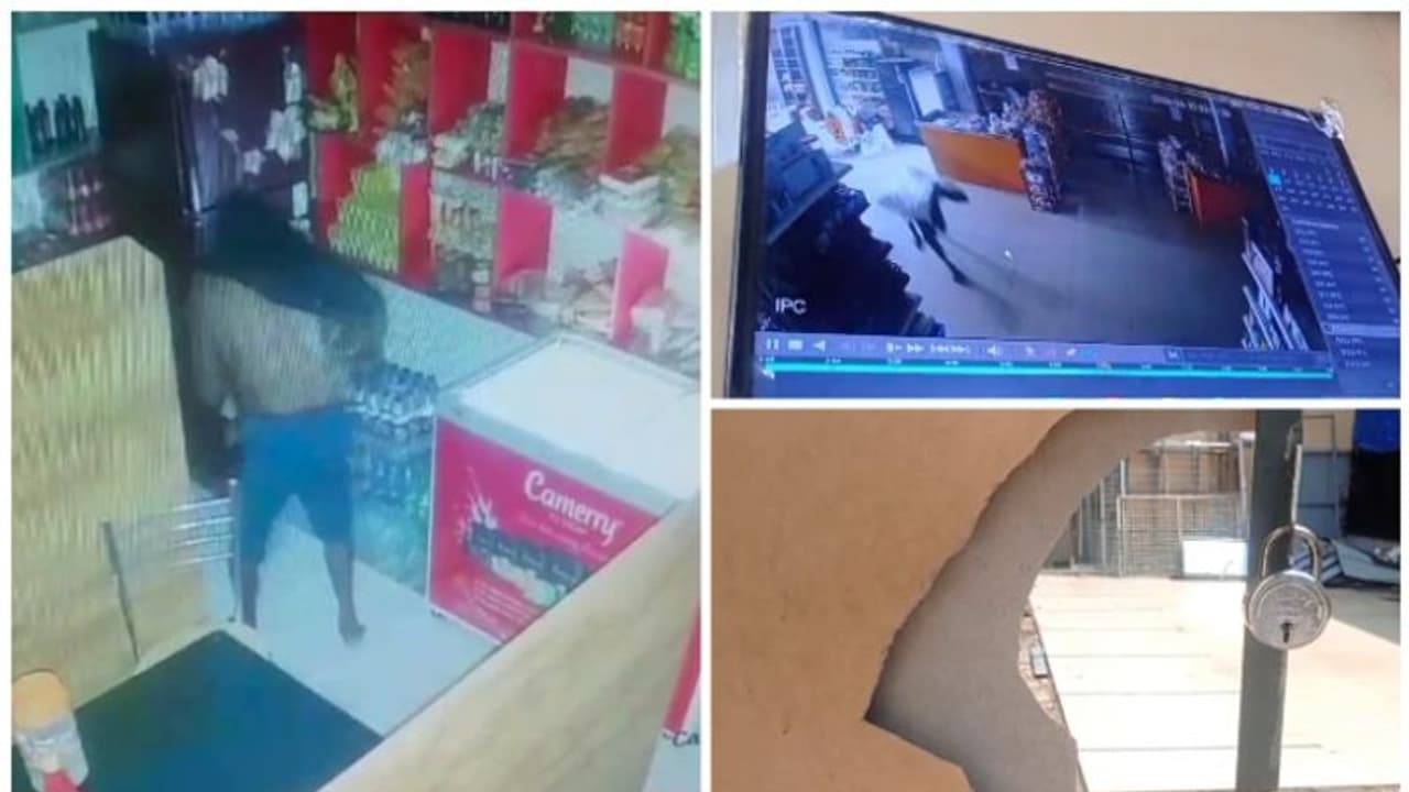 ഒരിടത്ത് തലയിൽ ചാക്കിട്ട് മൂടി, മറ്റൊരിടത്ത് ട്രേ കമിഴ്ത്തി; ഭിത്തി തുരന്നും വാതിൽ പൊളിച്ചും മോഷണം; കൊല്ലത്ത് ഒരിടത്ത് തലയിൽ ചാക്കിട്ട് മൂടി, മറ്റൊരിടത്ത് ട്രേ കമിഴ്ത്തി; ഭിത്തി തുരന്നും വാതിൽ പൊളിച്ചും മോഷണം; കൊല്ലത്ത്