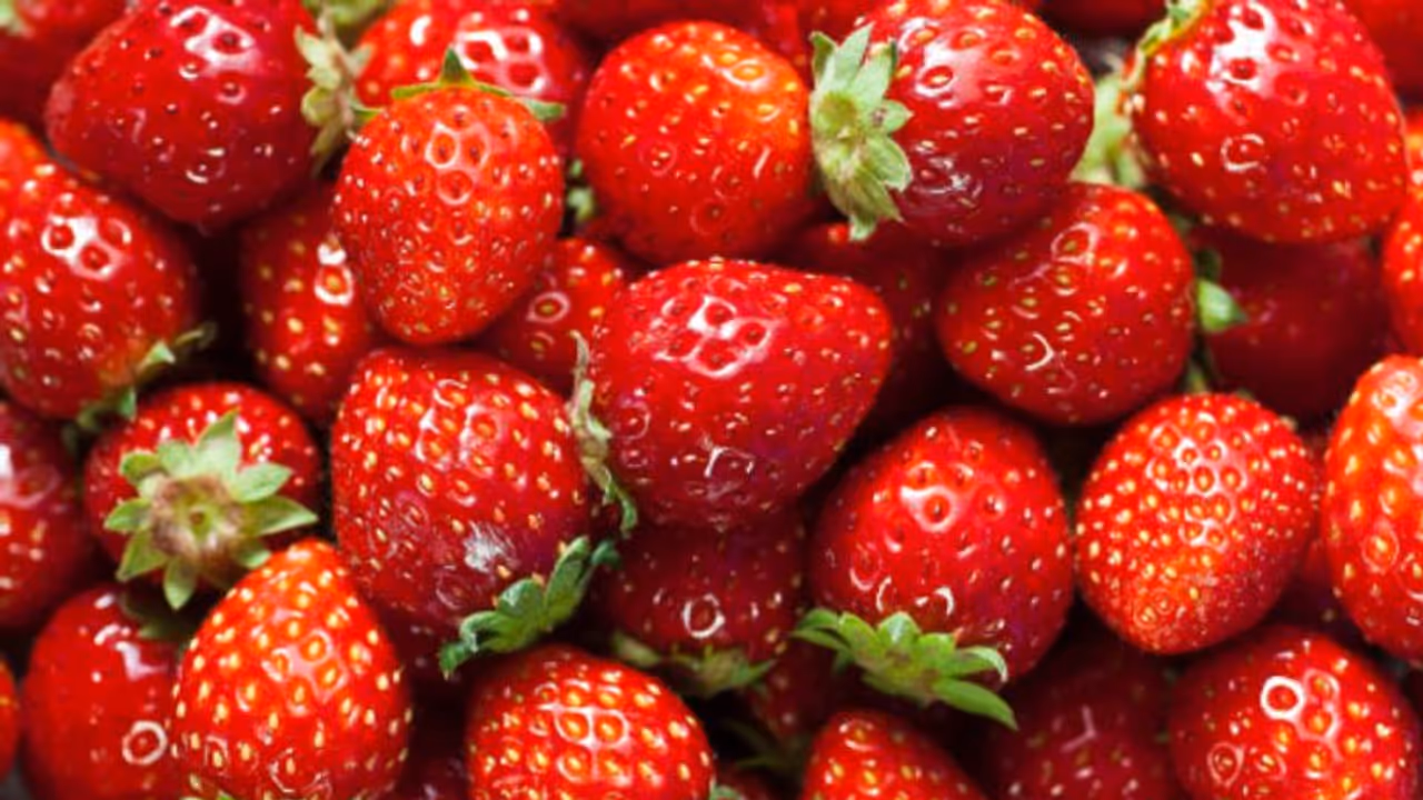 സ്കൂളിൽ നിന്ന് സ്ട്രോബെറി കഴിച്ച് എട്ട് വയസുകാരൻ മരിച്ചു, മുന്നറിയിപ്പുമായി കെന്റക്കിയിലെ ആരോഗ്യ മന്ത്രാലയം സ്കൂളിൽ നിന്ന് സ്ട്രോബെറി കഴിച്ച് എട്ട് വയസുകാരൻ മരിച്ചു, മുന്നറിയിപ്പുമായി കെന്റക്കിയിലെ ആരോഗ്യ മന്ത്രാലയം