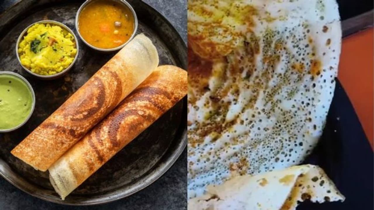 மாஸ்டர்! சூடா ஒரு தோசை.. ஆர்டர் செய்த பெண்ணுக்கு காத்திருந்த அதிர்ச்சி.. 8 கரப்பான் பூச்சியா..