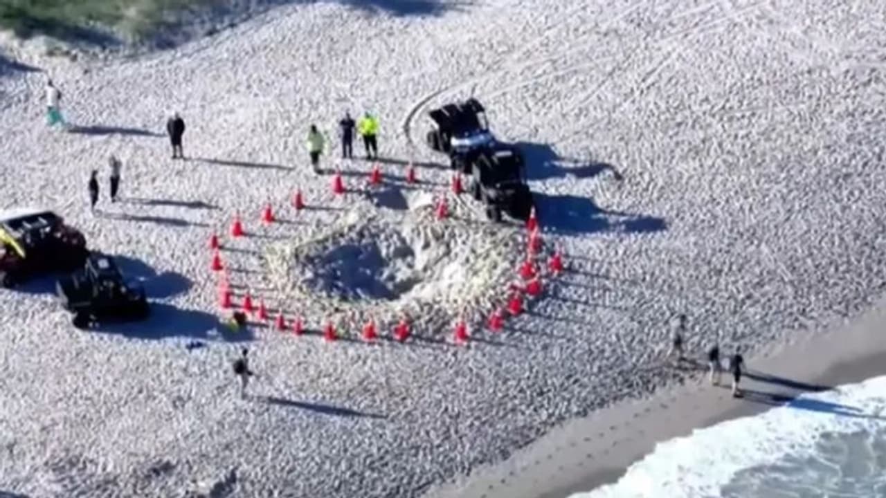 കടൽ തീരത്ത് കുഴികൾ കുത്തി കളിക്കുന്നതിനിടെയെത്തിയ ദുരന്തം 7 വയസുകാരിയുടെ ജീവനെടുത്തു, മുന്നറിയിപ്പ്