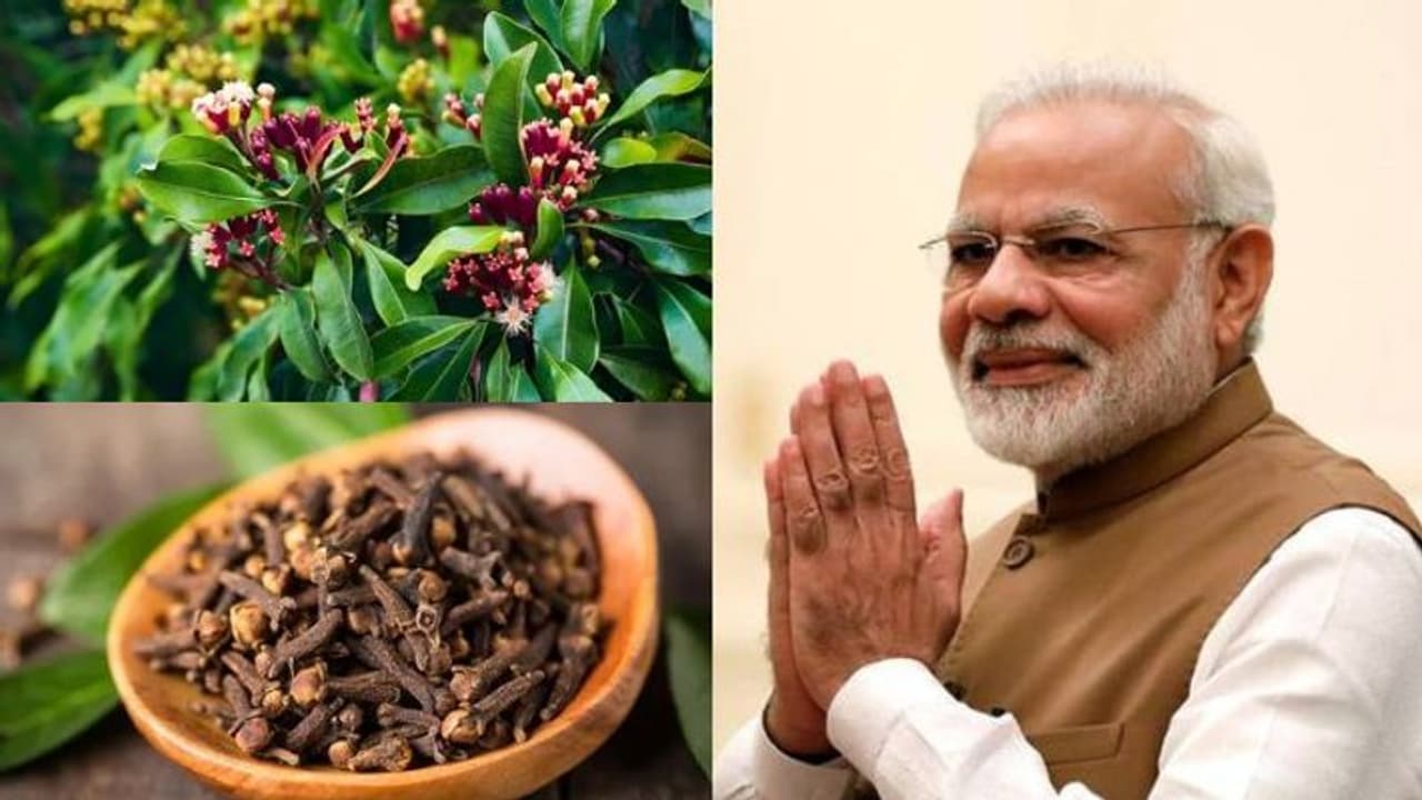 மண்.. வானிலை.. கிராம்பு அதிக அளவில் உற்பத்தி.. பிரதமர் மோடி கன்னியாகுமரி விசிட்.. வேற மாறி திட்டமா இருக்கு! மண்.. வானிலை.. கிராம்பு அதிக அளவில் உற்பத்தி.. பிரதமர் மோடி கன்னியாகுமரி விசிட்.. வேற மாறி திட்டமா இருக்கு!