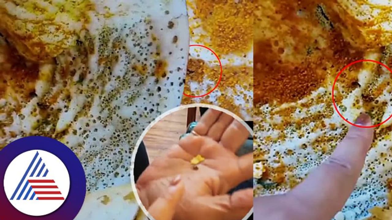 ಭಾರತದ ಪ್ರತಿಷ್ಠಿತ ದಕ್ಷಿಣ ಭಾರತೀಯ ಹೊಟೇಲ್ ದೋಸೆಯಲ್ಲಿತ್ತು ಎಂಟು ಜಿರಳೆ! ಭಾರತದ ಪ್ರತಿಷ್ಠಿತ ದಕ್ಷಿಣ ಭಾರತೀಯ ಹೊಟೇಲ್ ದೋಸೆಯಲ್ಲಿತ್ತು ಎಂಟು ಜಿರಳೆ!