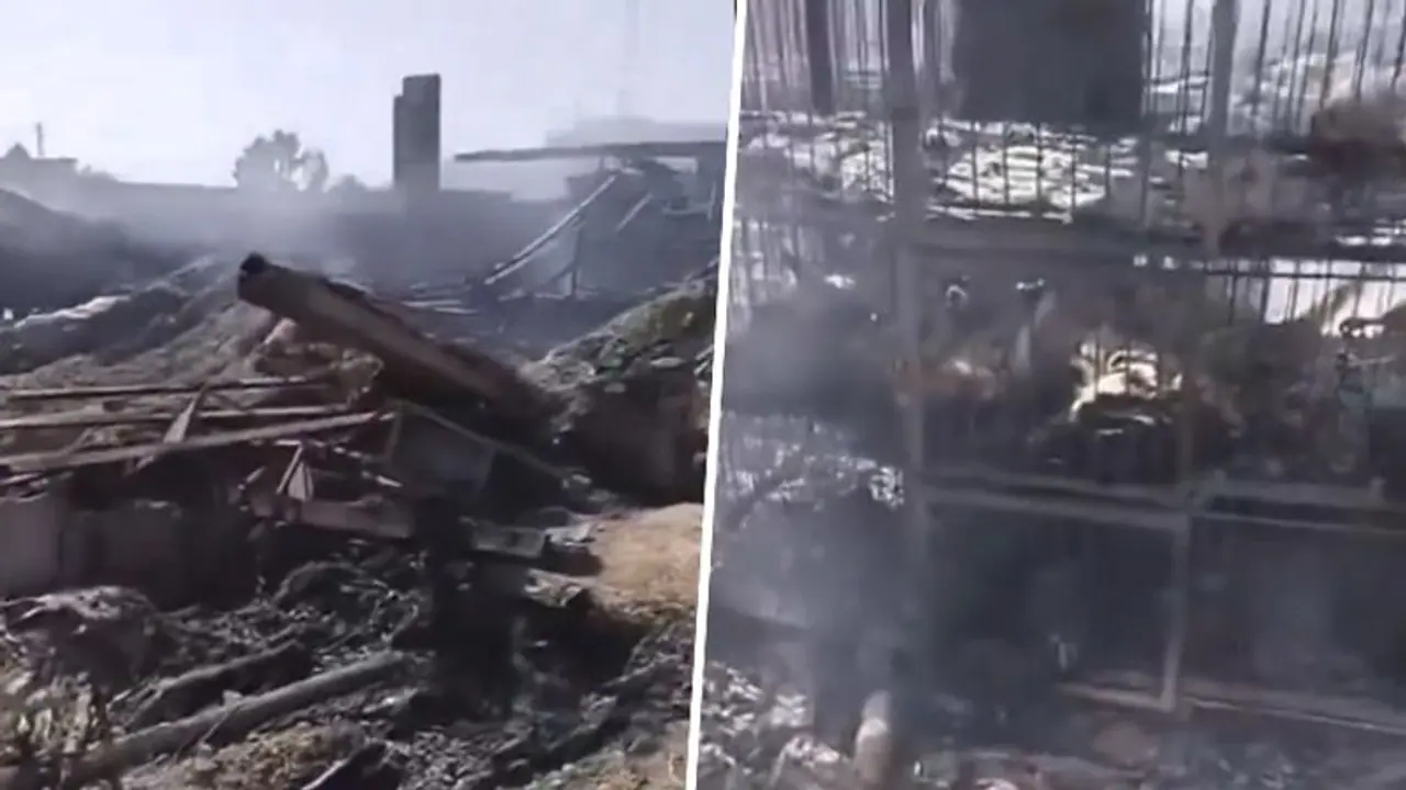 പാകിസ്ഥാനിൽ സൈനിക പോസ്റ്റിന് നേരെ സ്ഫോടക വസ്തു നിറച്ച വാഹനം ഓടിച്ചുകയറ്റി അഞ്ച് മരണം