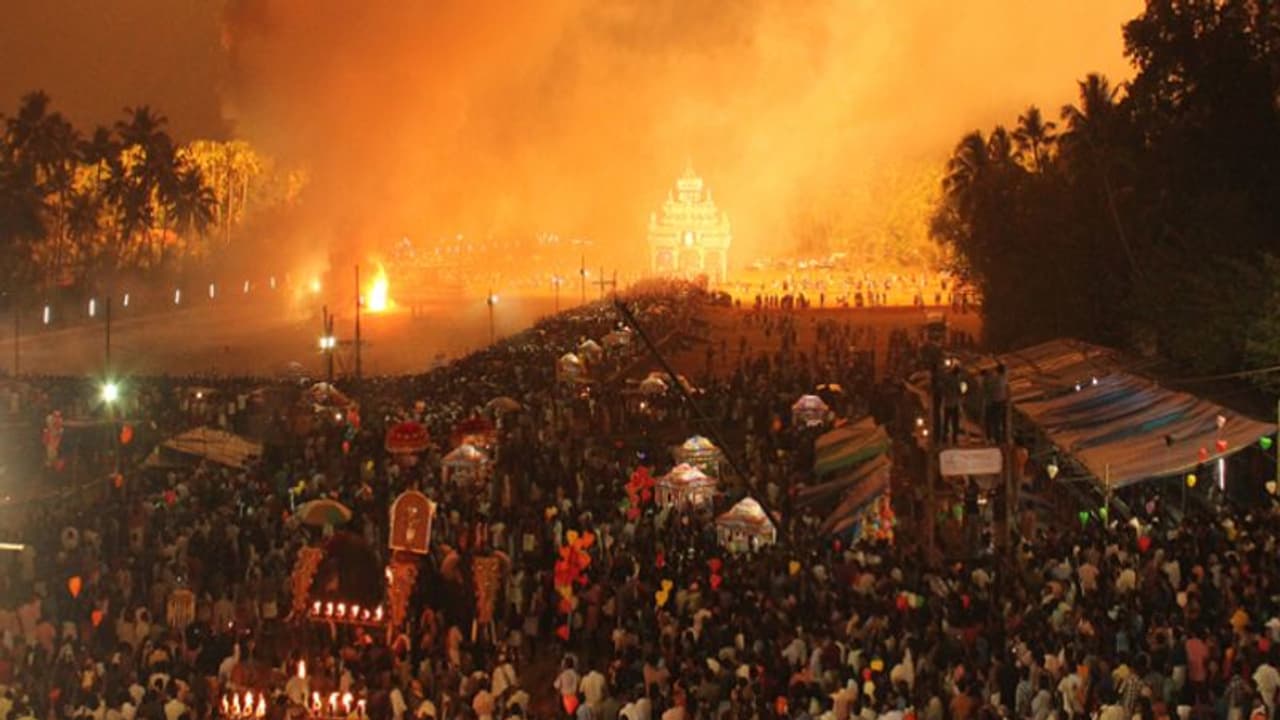 ആന എഴുന്നെള്ളിപ്പിന് സുരക്ഷ ഉറപ്പാക്കണം; തൃശൂരില് ജില്ലാ കളക്ടറുടെ ഉത്തരവ് ആന എഴുന്നെള്ളിപ്പിന് സുരക്ഷ ഉറപ്പാക്കണം; തൃശൂരില് ജില്ലാ കളക്ടറുടെ ഉത്തരവ്