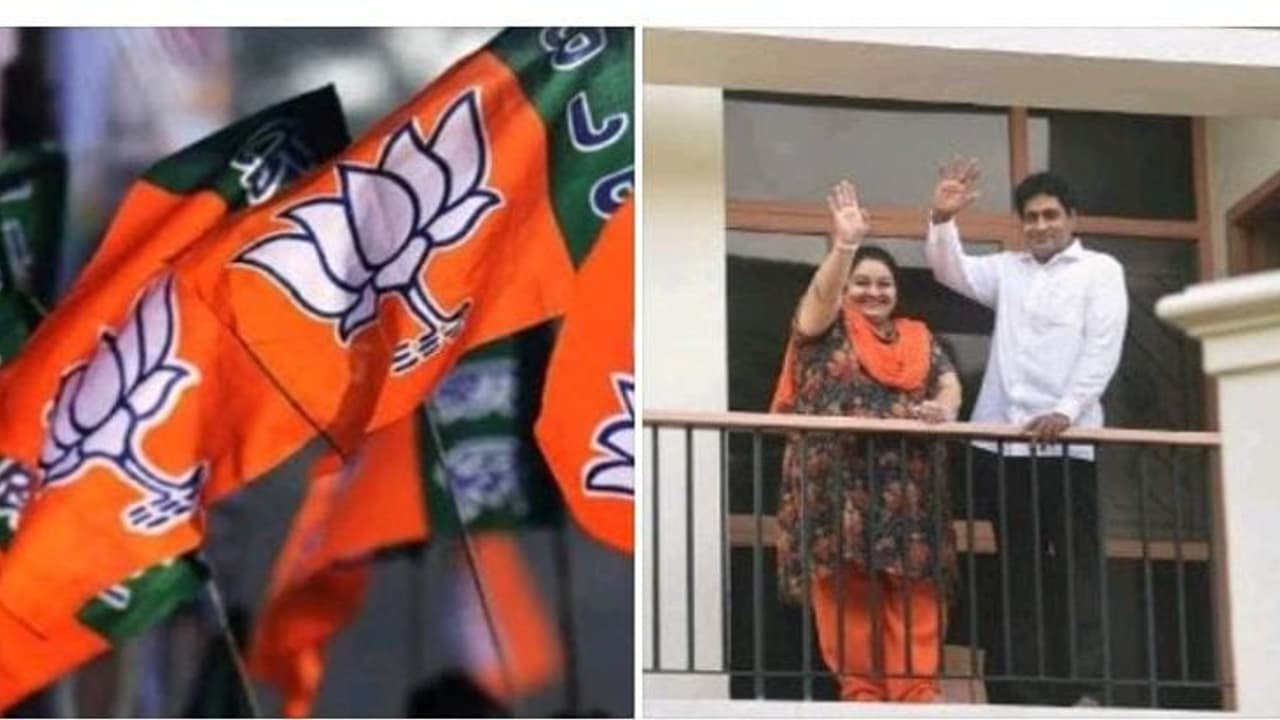 பாஜகவில் இணைகிறாரா ஜெ. தீபா..? அதிமுகவிற்கு அதிர்ச்சி கொடுக்க களம் இறங்கிய அண்ணாமலை ஆதரவாளர்கள் பாஜகவில் இணைகிறாரா ஜெ. தீபா..? அதிமுகவிற்கு அதிர்ச்சி கொடுக்க களம் இறங்கிய அண்ணாமலை ஆதரவாளர்கள்