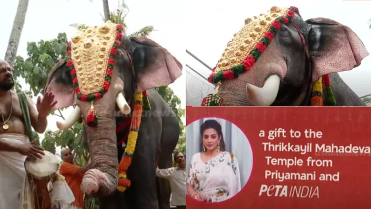 തലപ്പൊക്കത്തോടെ തൃക്കയിൽ മഹാദേവൻ, ഒറിജിനലിനെ വെല്ലും യന്ത്ര ആനയെ നടയിരുത്തി പെറ്റ, സഹായമേകി പ്രിയാമണി