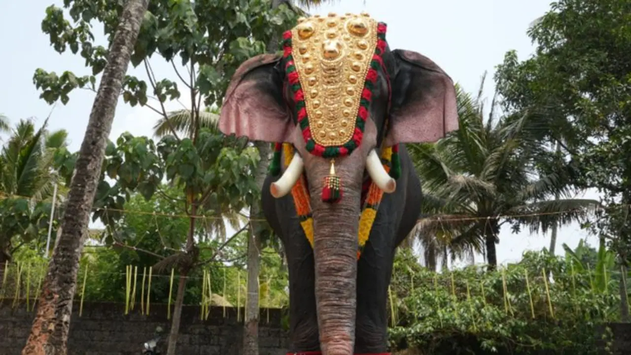 PETA India, actress Priyamani donate life size robotic elephant to Kerala Temple 