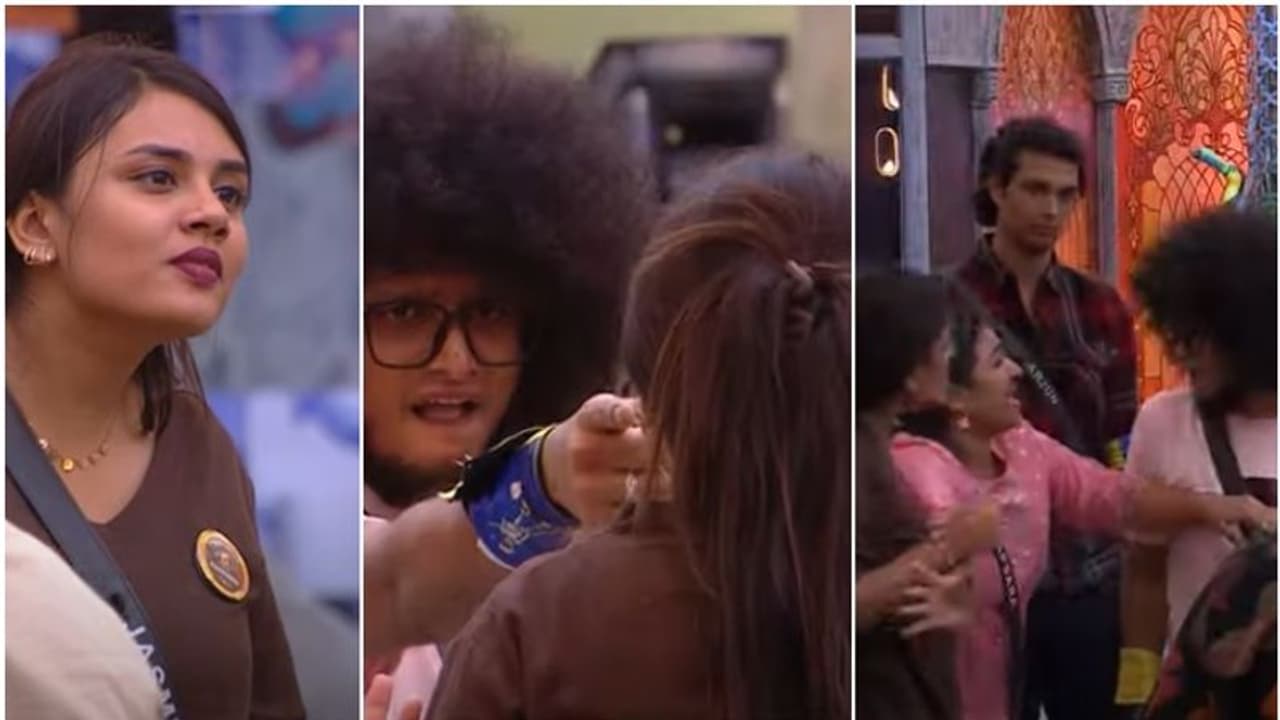 ഗബ്രി മരവാഴേ..കലിപ്പ് പുറത്തെടുത്ത് മുടിയന്‍; ബിഗ്ബോസ് വീട് കത്തുന്ന ബഹളം