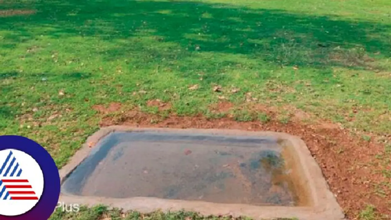 ಬಿಸಿಲಿನಿಂದ ಪಾರಾಗಲು ಹಂಪಿಯಲ್ಲಿ ಪಕ್ಷಿಗಳಿಗೆ ನೀರಿನ ವ್ಯವಸ್ಥೆ 