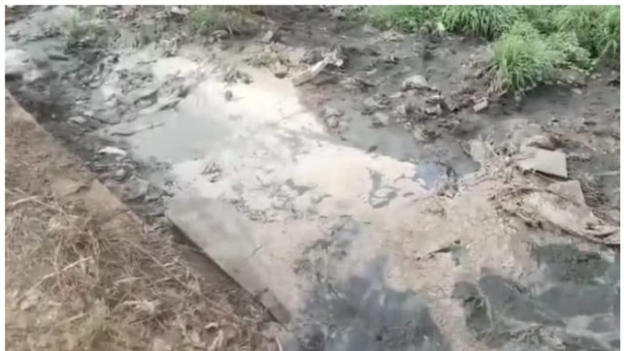 ലോറികളിൽ രാത്രി കക്കൂസ് മാലിന്യം എത്തിച്ച് നെൽവയലുകളിലും തോടുകളിലും തള്ളുന്നു; പരാതിപ്പെട്ടിട്ടും പരിഹാരമില്ല ലോറികളിൽ രാത്രി കക്കൂസ് മാലിന്യം എത്തിച്ച് നെൽവയലുകളിലും തോടുകളിലും തള്ളുന്നു; പരാതിപ്പെട്ടിട്ടും പരിഹാരമില്ല