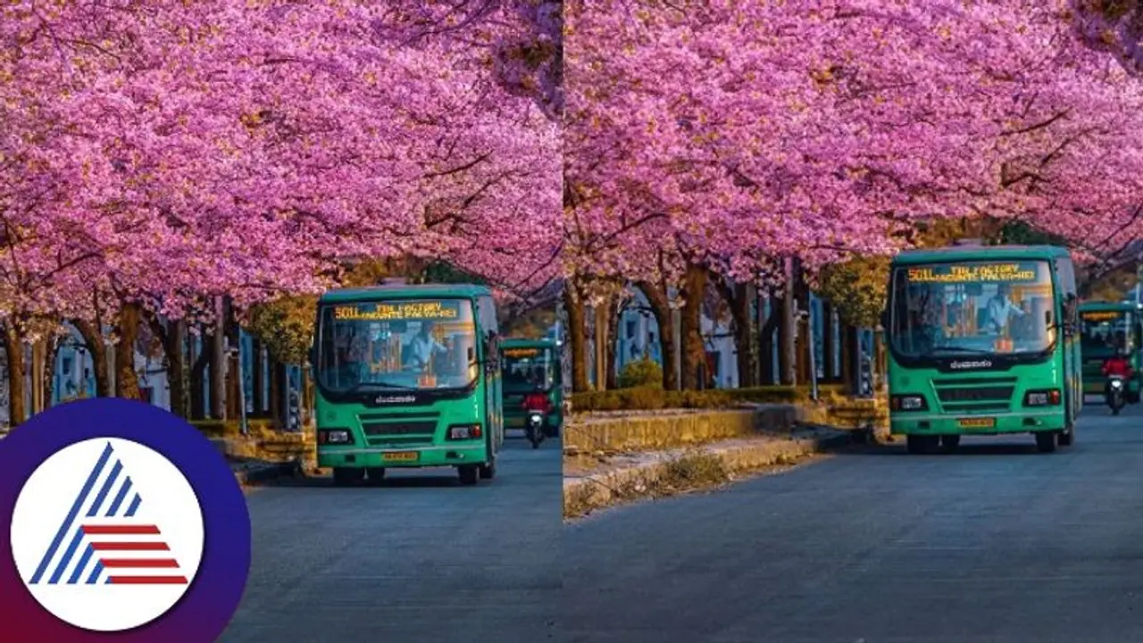 ಬೆಂಗಳೂರು ಮತ್ತು ಗುಲ್ಮೊಹರ್ ಮರಗಳು. . ಇದ್ಯಾವ ರೋಡ್ ಅಂತ ಗೆಸ್ ಮಾಡ್ತೀರಾ? ಬೆಂಗಳೂರು ಮತ್ತು ಗುಲ್ಮೊಹರ್ ಮರಗಳು. . ಇದ್ಯಾವ ರೋಡ್ ಅಂತ ಗೆಸ್ ಮಾಡ್ತೀರಾ?