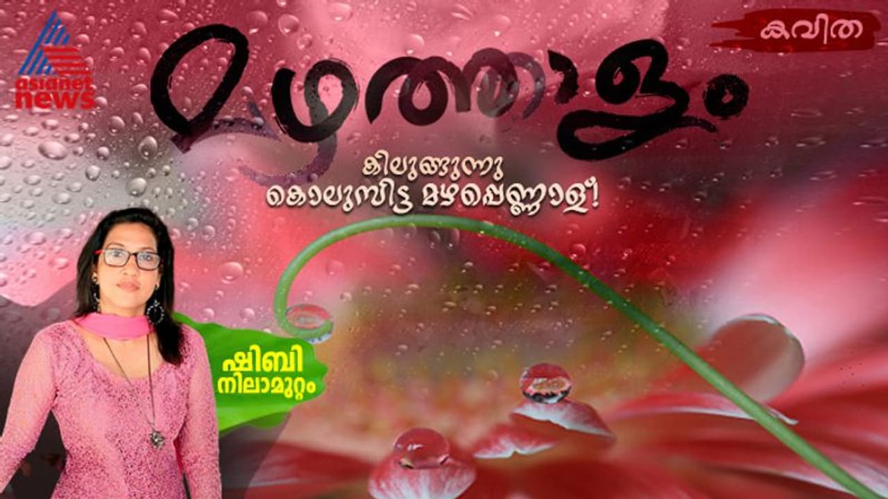 മഴത്താളം, ഷിബി നിലാമുറ്റം എഴുതിയ കവിത 