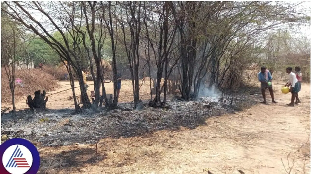 ಚಿತ್ರದುರ್ಗದಲ್ಲಿ ಬಹಿರ್ದೆಸೆಗೆಂದು ತೆರಳಿದ್ದ ತಾಯಿ, ಇಬ್ಬರು ಮಕ್ಕಳು ಸೇರಿ ಮೂವರು ಸಜೀವ ದಹನ ಚಿತ್ರದುರ್ಗದಲ್ಲಿ ಬಹಿರ್ದೆಸೆಗೆಂದು ತೆರಳಿದ್ದ ತಾಯಿ, ಇಬ್ಬರು ಮಕ್ಕಳು ಸೇರಿ ಮೂವರು ಸಜೀವ ದಹನ