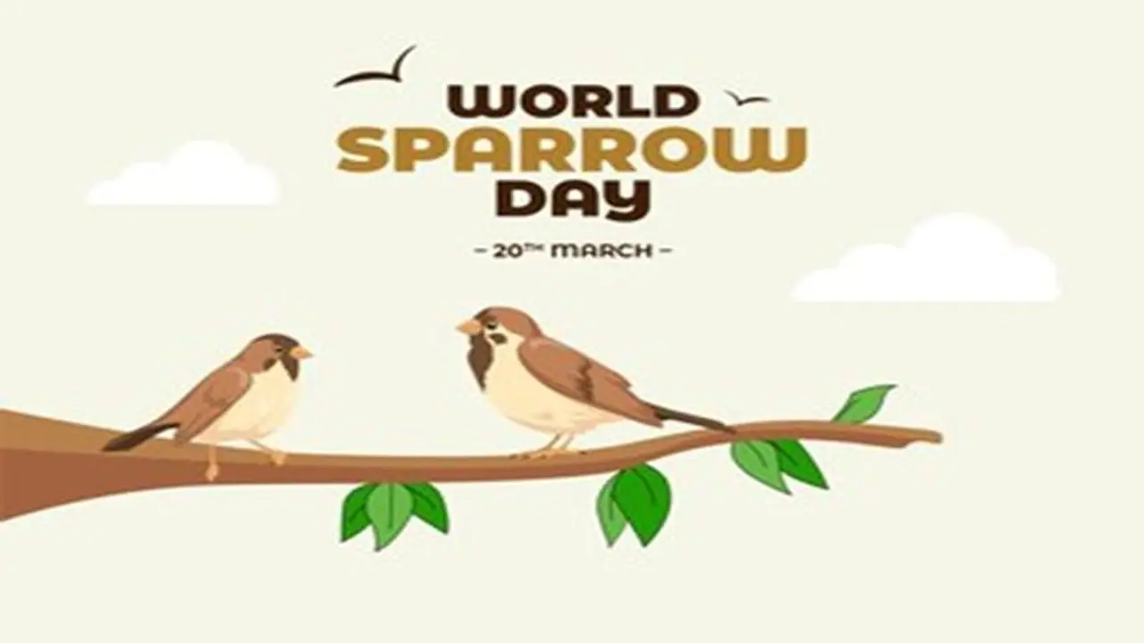 Why is World Sparrow Day celebrated on 20 March?