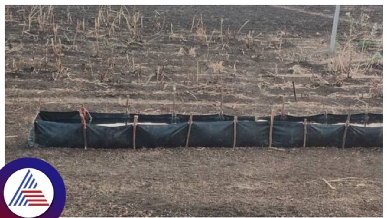 ಭೀಮಾ ನದಿ ನೀರಿಗೆ ಮಹಾರಾಷ್ಟ್ರ ಕನ್ನ, ಉತ್ತರ ಕರ್ನಾಟಕದ ಹಲವು ಜಿಲ್ಲೆಗಳು ತತ್ತರ! ಭೀಮಾ ನದಿ ನೀರಿಗೆ ಮಹಾರಾಷ್ಟ್ರ ಕನ್ನ, ಉತ್ತರ ಕರ್ನಾಟಕದ ಹಲವು ಜಿಲ್ಲೆಗಳು ತತ್ತರ!