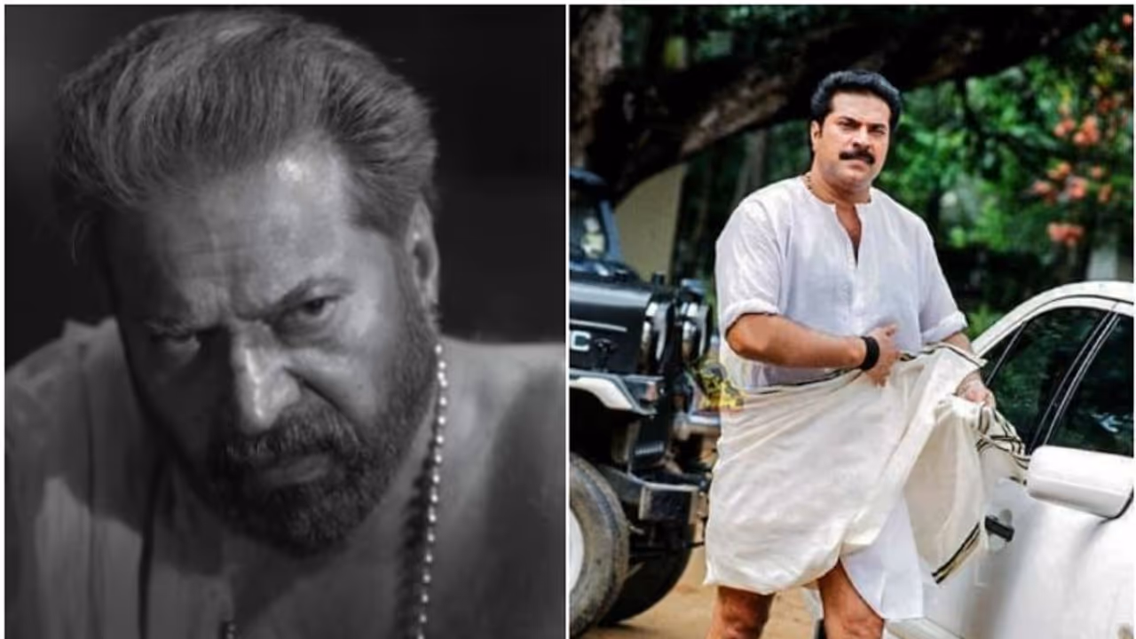 ഭ്രമയുഗവും വല്ല്യേട്ടനും തമ്മിലെന്ത് ഒരു 'നിറനാഴി പൊന്ന്' ബന്ധം വീഡിയോ വൈറല് ഭ്രമയുഗവും വല്ല്യേട്ടനും തമ്മിലെന്ത് ഒരു 'നിറനാഴി പൊന്ന്' ബന്ധം വീഡിയോ വൈറല്