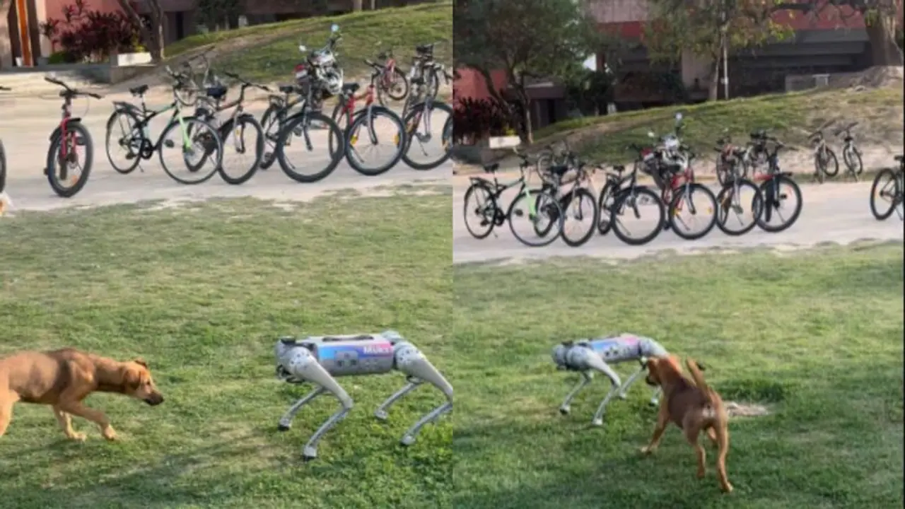 Real dog plays with robot dog at IIT Kanpur; WATCH viral video
