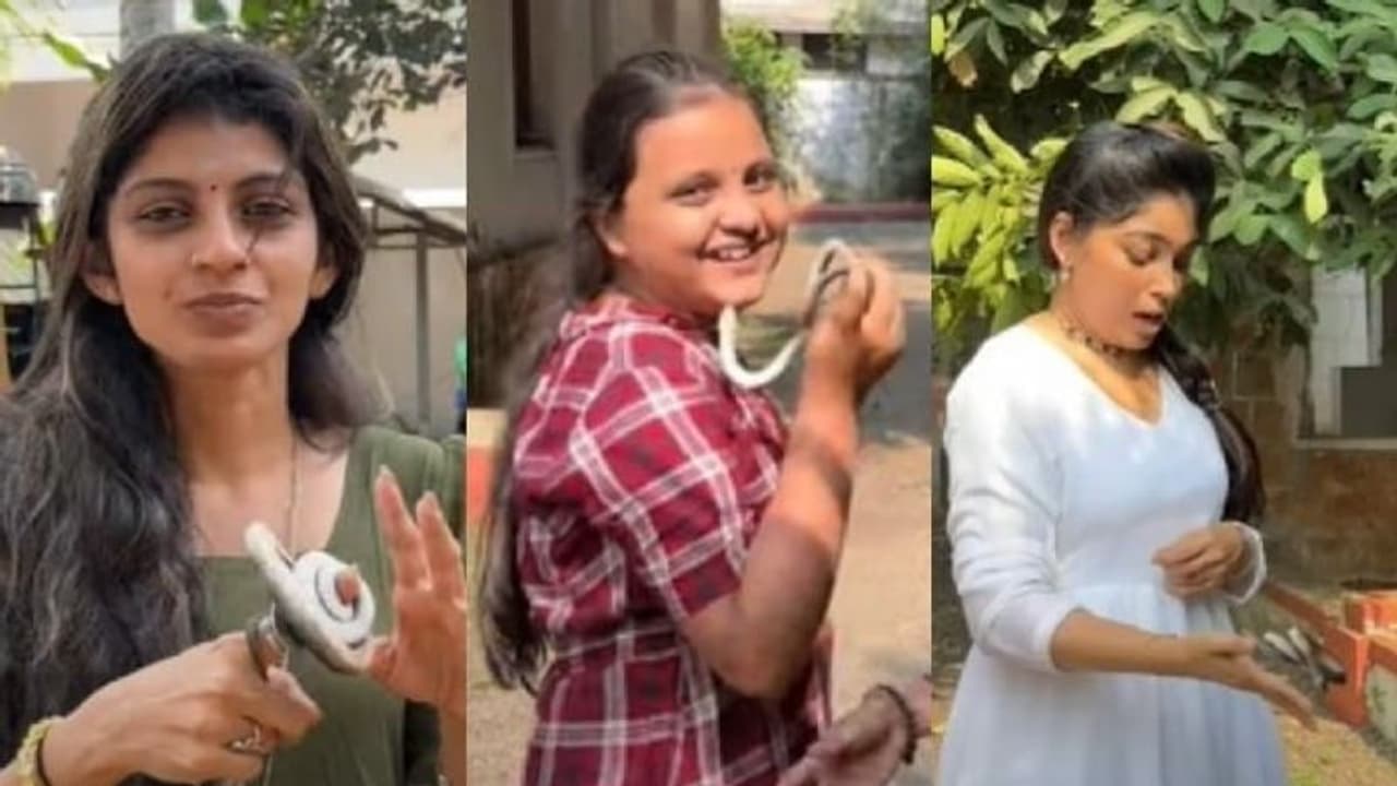 'ചക്കപ്പഴം ലൊക്കേഷനിൽ പാമ്പ് കേറി പേടിച്ചോടി താരങ്ങൾ': പക്ഷെ പിന്നെയാണ് ട്വിസ്റ്റ്.! 'ചക്കപ്പഴം ലൊക്കേഷനിൽ പാമ്പ് കേറി പേടിച്ചോടി താരങ്ങൾ': പക്ഷെ പിന്നെയാണ് ട്വിസ്റ്റ്.!