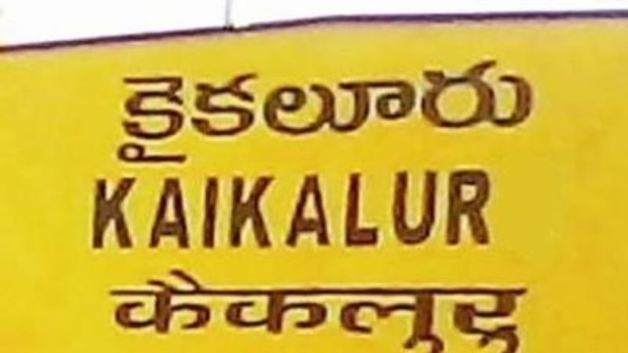 కైకలూరు అసెంబ్లీ ఎన్నికల ఫలితాలు 2024 కైకలూరు అసెంబ్లీ ఎన్నికల ఫలితాలు 2024