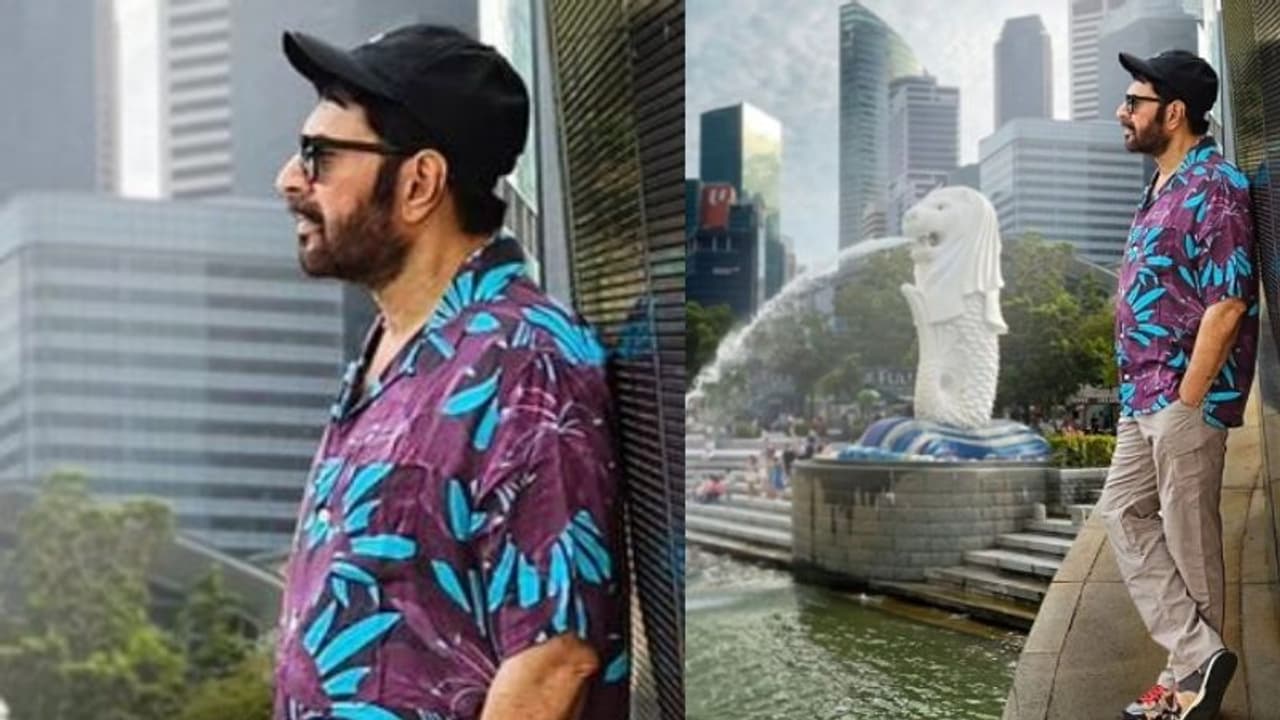 ദേ ഇക്ക പിന്നേം..; ചുള്ളനായി സിംഗപ്പൂരിൽ ചുറ്റിക്കറങ്ങി മമ്മൂട്ടി, 'എജ്ജാതി മനുഷ്യൻ' എന്ന് ആരാധകർ ദേ ഇക്ക പിന്നേം..; ചുള്ളനായി സിംഗപ്പൂരിൽ ചുറ്റിക്കറങ്ങി മമ്മൂട്ടി, 'എജ്ജാതി മനുഷ്യൻ' എന്ന് ആരാധകർ